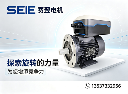 赛翌电机韶关线上分站